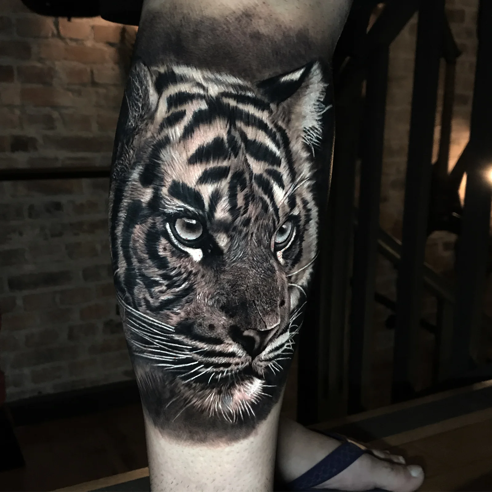 Tatuagem de tigre em preto e cinza por Zaca